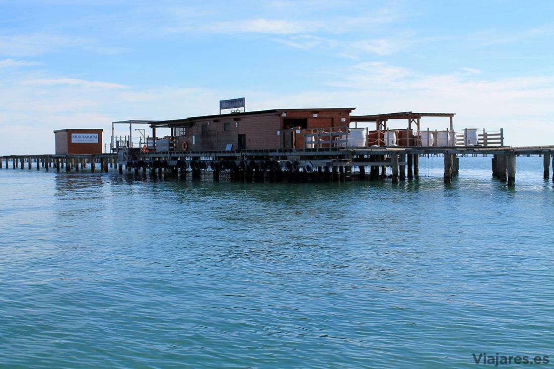 Appartamento Apartamento frente al mar Les Cases d'Alcanar Esterno foto